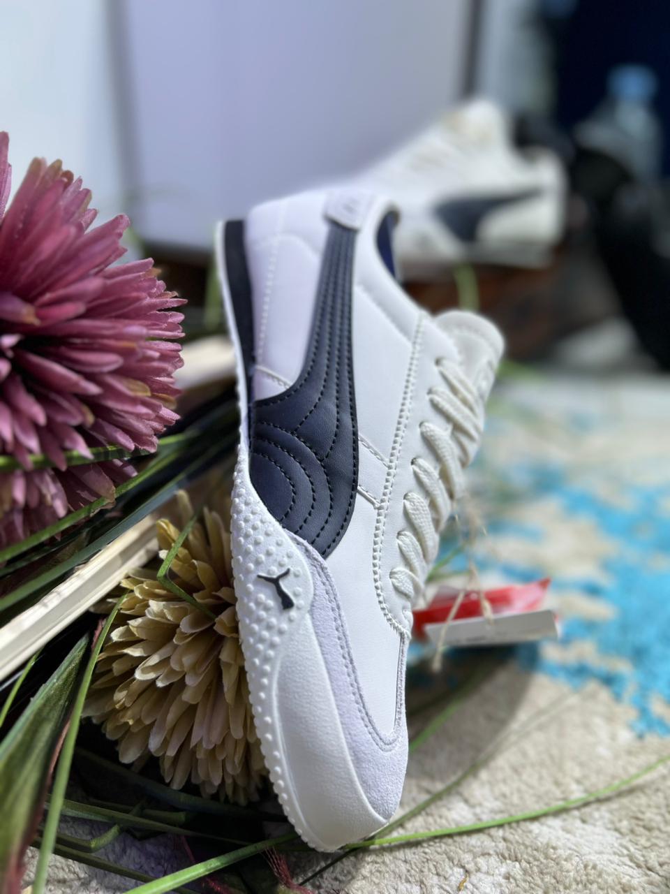 Puma Bella